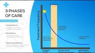 Welcome to Chiropractic Care! | Stevens Creek Chiropractic | 3D Consultation