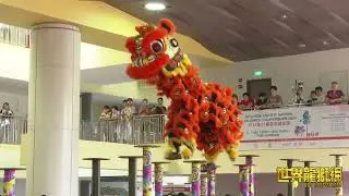 南仙龙狮体育会 Nam Sieng Dragon & Lion Dance Activity Centre