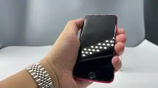 iPhone SE 2020 (2-го поколения) 256GB Product RED
