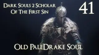 Dark Souls 2 SotFS No Death All Achievements - 41 - Old PaleDrake Soul