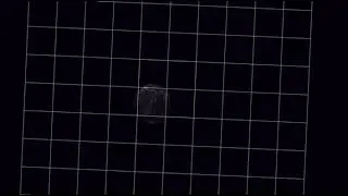 Earth&rsquo;s Distance to Supermassive Black Holes