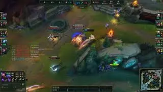 classic neeko bait