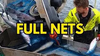 700 FULL Fishing Nets: Best of Saithe Season (Non-Stop Action) #19