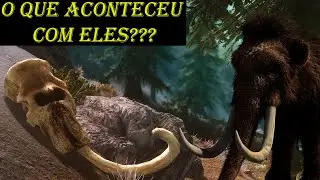 Por que os mamutes foram extintos? | Minuto Animal #8