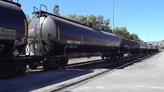 CSX 145  GE AC44CW     CSX 979  GE ES44AC-H