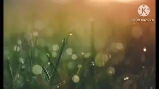 Godlines part 2