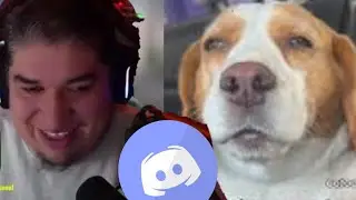 RENEGUL REACCIONA A VIDEOS Y MEMES QUE LE MANDAN EN DISCORD