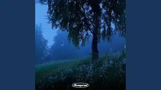 Suite bergamasque L. 75 in C-Sharp Major: Clair de Lune