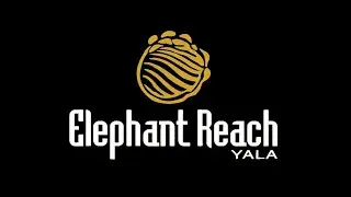 &ldquo;Is This Hotel Worth the Hype? Honest Review of Elephant Reach Yala&rdquo;