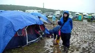 Stanfest Swamp