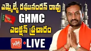Dubbaka MLA Raghunandan Rao GHMC Election Campaign Live | GHMC Elections 2020 | BJP Vs TRS | YOYO TV