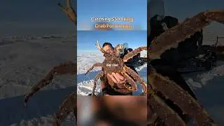 Catching King Crab For Dinner on a Frozen Ocean (@OutdoorBoys)