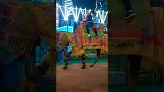 camel in sirsa mela  #trending #camel #song #elephant #dj #funny #npdpvlogs