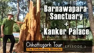 Chhattisgarh छत्तीसगढ़ | Barnawapara Sanctuary बारनवापारा | Kanker Palace कांकेर | Episode 2