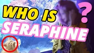 Who is Seraphine?! League of Legends SPECULATION