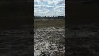 dr 350 , tornado 250  y xtz 250 probando