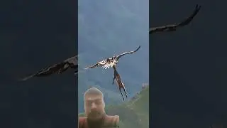 Golden eagle vs Goat #trending #goldeneagle #goat #eagle #animals #viral #youtubeshorts #youtube#art