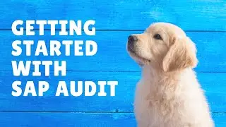 SAP Audit - Controlling Remote Function Calls