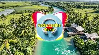 Cedie Laulita - Huwag Siya - Future Bass