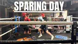 Hard Amateur Sparing *PUNCHED HIS HEAD GUARD OFF*