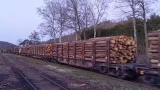 Achtung am Bahnsteig! Ein Zug fährt durch!