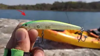 NÃO ESTAVA PEGANDO NADA MAS... SÓ FOI COLOCAR ESSA ISCA EM QUANTO PISCAVA O OLHO ELES ATACAVA!!