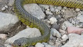Parque Estadual Cunhambebe 2020