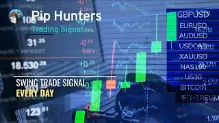 Forex Swing Trade Trading Signal Every Day | Pip Hunters 💎