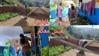 الرياح الكثيفة تظرب الجبال بقوة والبحث عن طعام للبقر