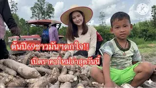#ด่วนชาวมันสำปะหลังตกใจกับราคาใหม่ล่าสุดต้นปี69