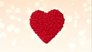 Professional Wedding Intro Opener | After Effects Project Files ❤