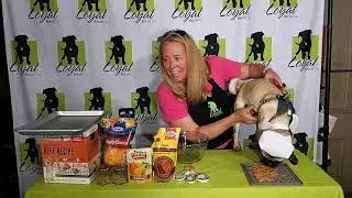 In the Kitchen with Kevin: Doggie Cheeseburgers (Episode 8)