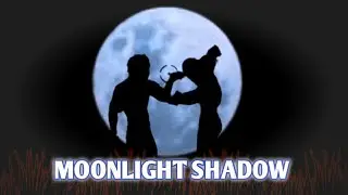 SAIYAARAN MOONLIGHT EDITING MONTAGE || NEW TREND || @NETONEFF