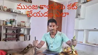 Cutting  Healthy Palm Fruit | Summer Fruit | Taati Munjalu | Amazing Food Zone