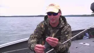 Rainy Lake Muskies