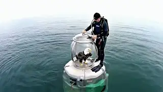 Diver Takes Eagle Underwater &ndash; You Won&rsquo;t Believe What Happened!