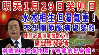 明天1月29日癸卯日，水木相生但濕氣重！不想關節酸痛復發的，睡前記得泡腳加點艾葉，逼出體內寒毒，別讓這股陰氣拖累了春節的好身體。