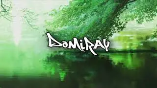 Domiray - Childhood