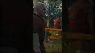 For you, whatever you want! The Witcher 3 | The Witcher 3 #shorts