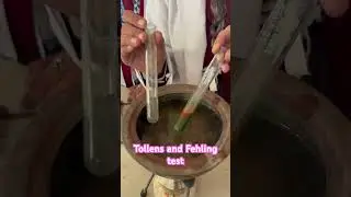 Tollens test and fehling solution test| Aldehyde test | Silver mirror test| #chemistry12th
