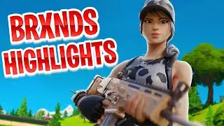 Love Scars 💔 (Brxnds Highlights #1)