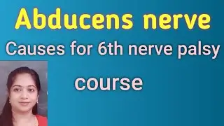 6th cranial nerve/Abducens nerve/Applied aspects related to ophthalmology/ Neuropathy ophthalmology
