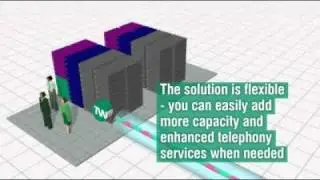 TeleWare: Hosted Services