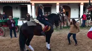 Peregrinación de Triana 2018