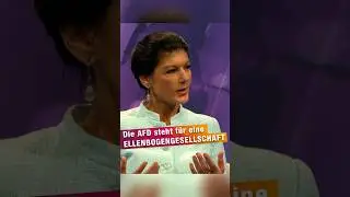Die AfD steht f&uuml;r eine Ellenbogengesellschaft#bsw #wagenknecht #maischberger #weidel #afd #musk
