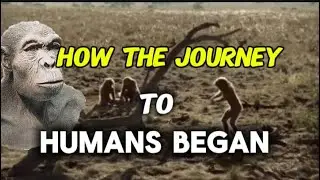 The Journey From Apes to Man: How Humanity Evolved Through Millions of Years