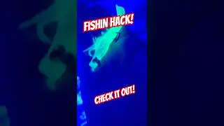 radioactive shrimp! homemade? GLOW in the dark bait! #shrimp SNOOK TIPS #floridafishing