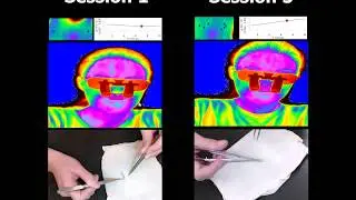 Scientific Reports 2019