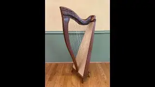 Dusty Strings Crescendo #19833