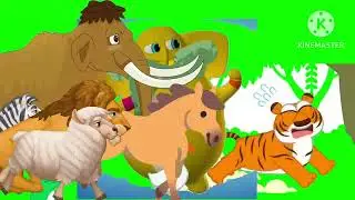 Animals stampede green screen free to use ok